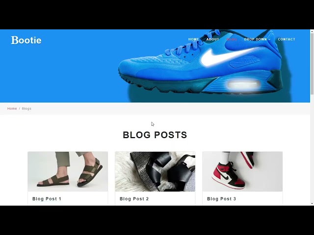 E Commerce Website Template in HTML and CSS With Source Code || E-Commerce Website || Source coder