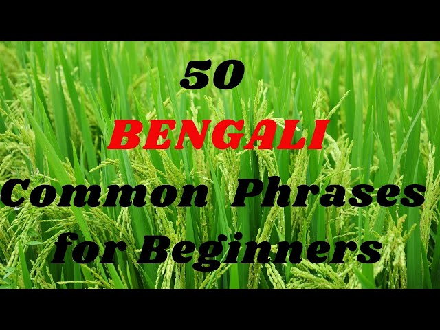 50 Common BENGALI Phrases for Beginners