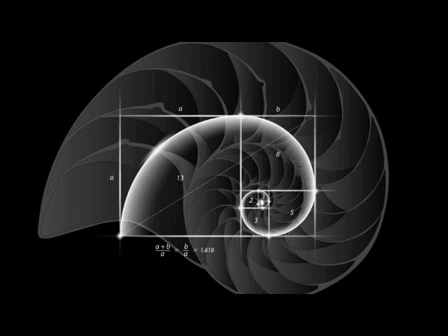 CMSC 341 Binomial Heaps, Fibonacci Heaps
