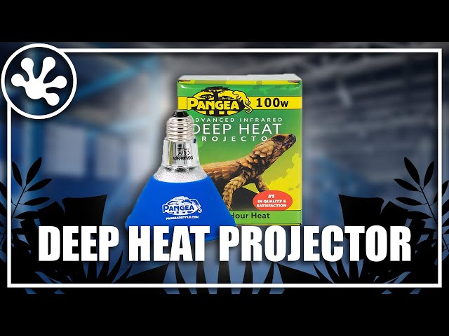 Pangea Deep Heat Projector