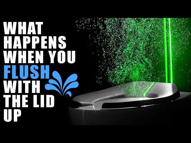 Flushing The Toilet With The Lid Up 💦