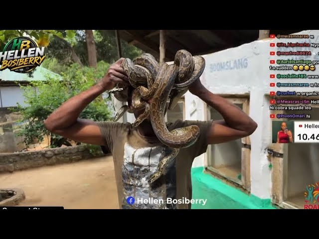 Meet Real-life Medusa in Ukunda!