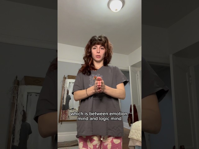 BPD Episodes, Vulnerability Factors, & Walking the middle path #bpd #emotions #mentalhealth #anxiety