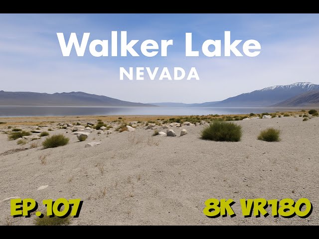 Ep.107 Nevada – Walker Lake Sportsman Beach Landscape and Wide Horizons 8K VR180 3D Travel