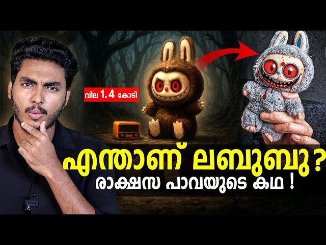 ആളുകൾ എന്തിന് ഈ പാവ മേടിക്കുന്നു ?? WHAT IS LABUBU TOY EXPLAINED | MALAYALAM | AFWORLD BY AFLU