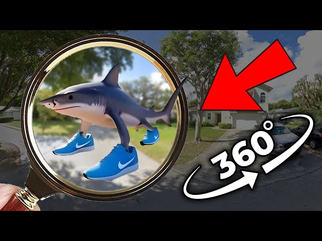 Find Tralalero Tralala - Italian Brainrot Animals | 360º VR Finding Challenge