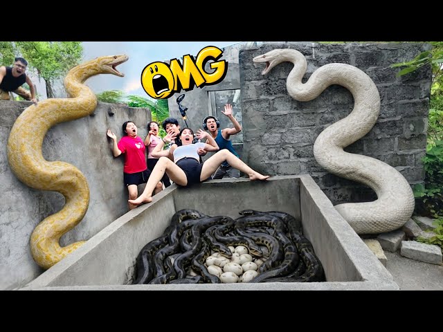 Brave Experts Use High-Tech Snake Detector to Locate Giant Python Nest to Rescue Ethnic Girl