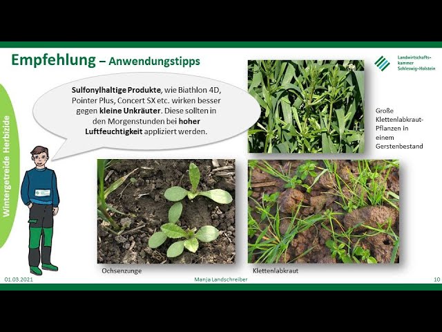 Unkräuter und Ungräser im Wintergetreide, Frühjahr 2021, LKSH