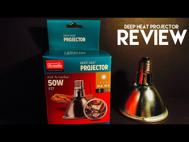 THE FUTURE OF REPTILE KEEPING! Arcadia Deep heat projector review