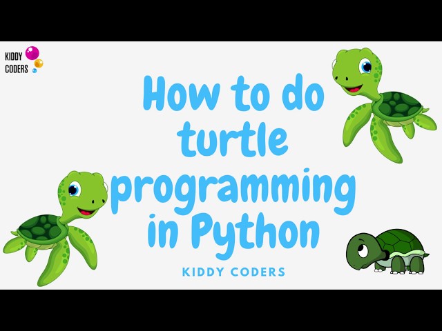How to do turtle programming in Python