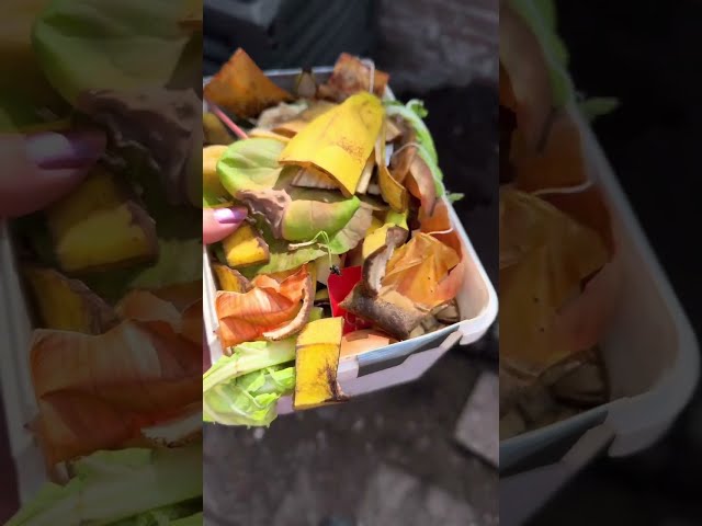 Composting for beginners: how to make compost quickly and without nasty smell and maggots