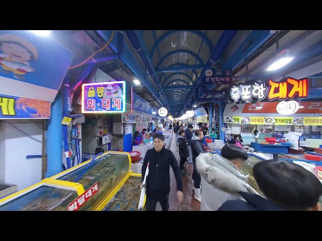 대게시세 포항 죽도 어시장 20191222