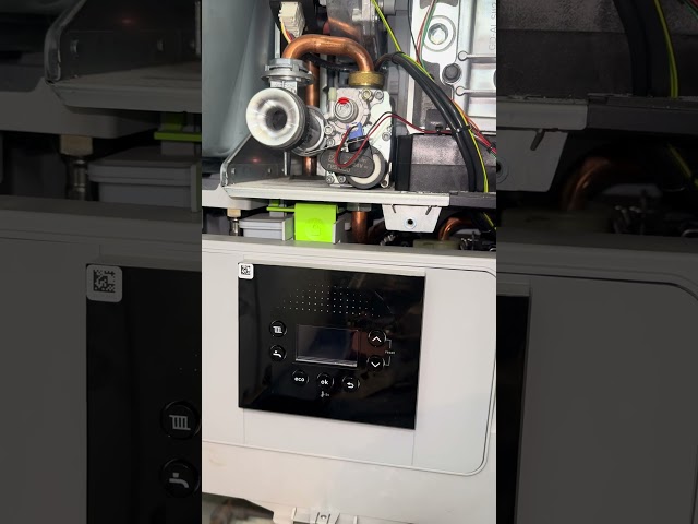 Worcester Bosch Greenstar 8000 Life 227 ignition fault code