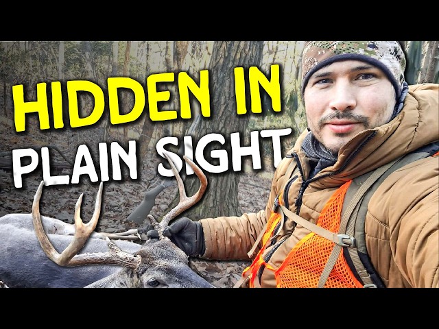 The Hidden Mountain Feature That Pulls Deer Together | Dillon Harper