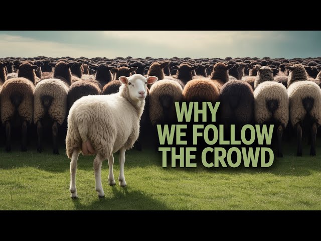 The Conformity Trap: Why Independence Feels Dangerous