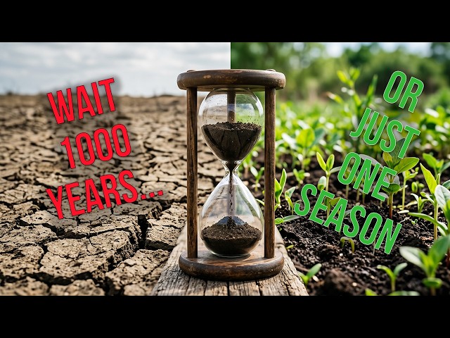 The FASTEST Way to Build Humus in Your Soil (Most Gardeners Miss This)