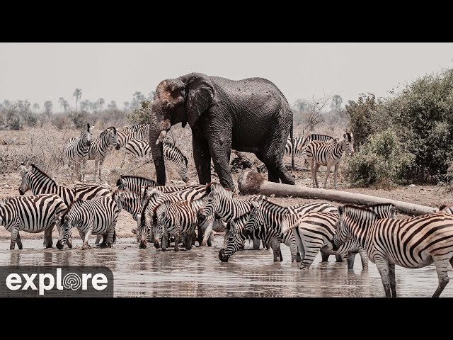 Kalahari Salt Pan powered by EXPLORE.org