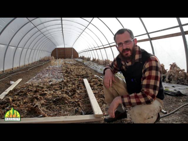 Building Greenhouse Vertical Farming Racks