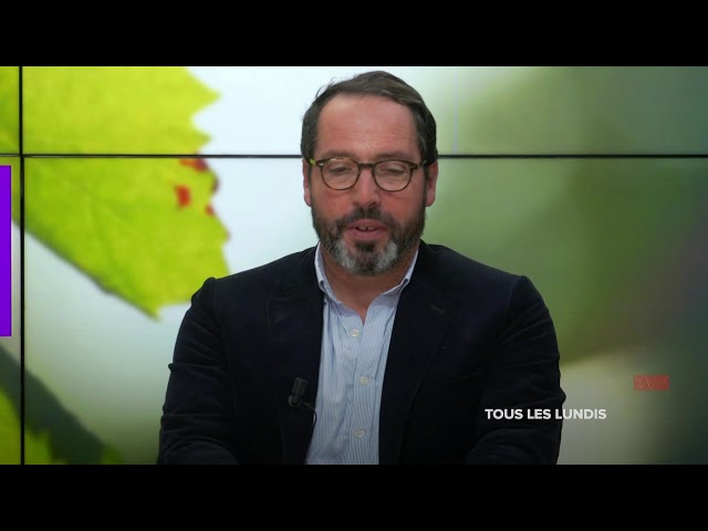 LIVE TV7 Bordeaux