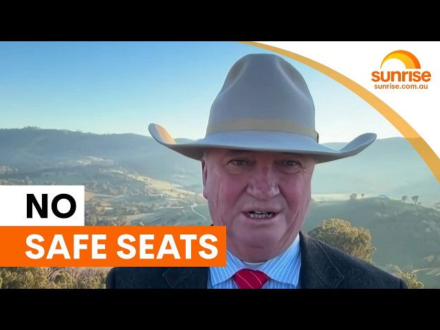 One Nation claims no safe Labor seats after Secret Harbour win | Sunrise