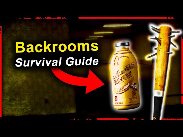 The Backrooms Survival Guide... (Part 1)