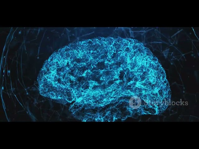 ¿COMO FUNCIOAN EL CEREBRO HUMANO?