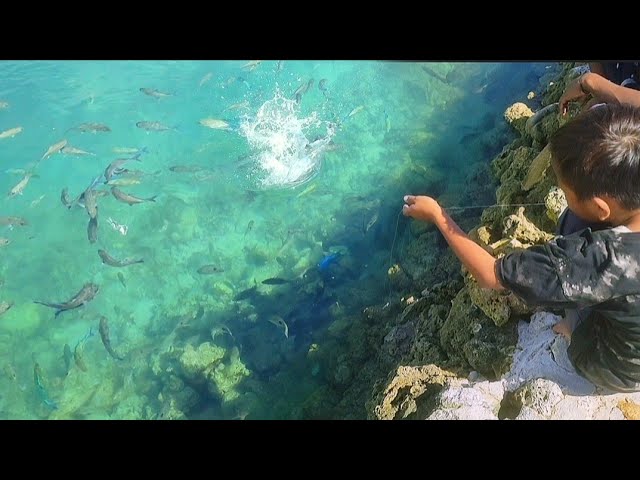 MAU MAKAN IKAN SEGAR TINGGAL MANCING DI DEPAN RUMAH TAK PERLU JAUH SAMPAI KELAUT DALAM