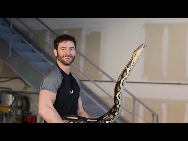 My 15 foot python made a HUGE mess!!
