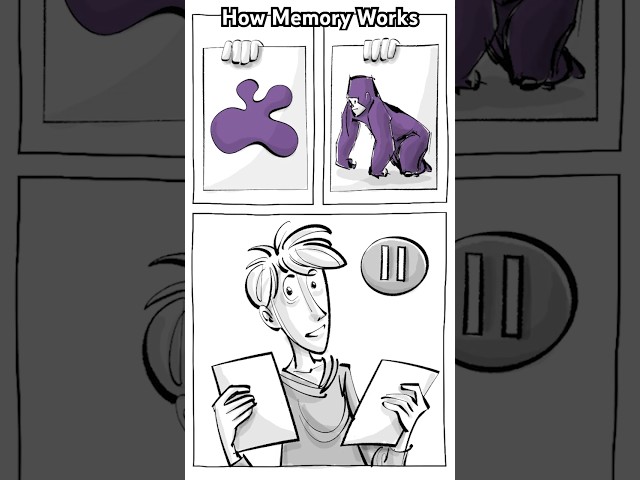 Types of Memory [Shorts version] #memory #neuroscience #brain