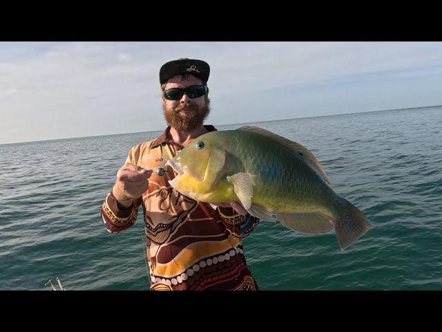 Bluebone sesh - few days on the water fishing the shallow reefs lookin for big bluebone