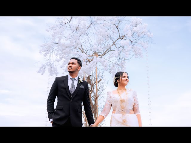 DINUSHA & CHALITHA - Wedding Highlights