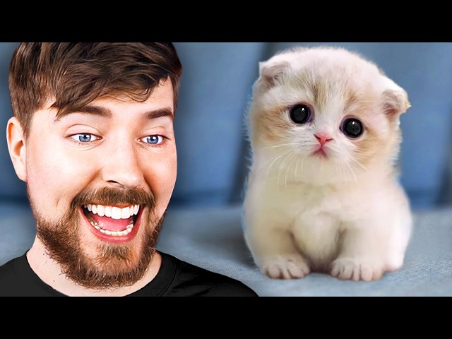 World's Cutest Animals!