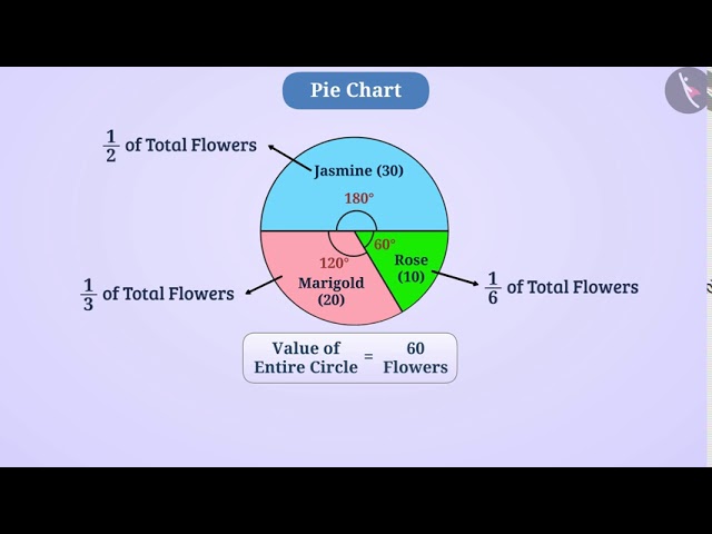 Pie Chart or Circle Graph | Part 1/3 | English | Class 8