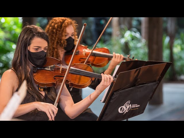 Orquestra Ouro Preto e Desvio: Ritmos Brasileiros - Bloco - Clipe 3D