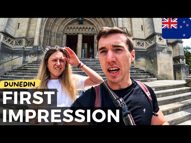 NOBODY TOLD US THIS! First Impression Dunedin, New Zealand South Island🇳🇿