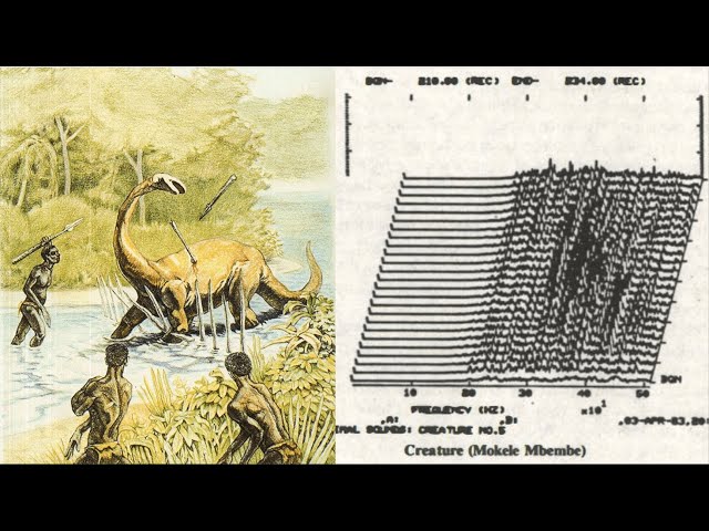 The Weird World of Cryptid Audio
