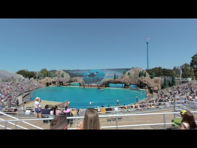 VR180 - SeaWorld San Diego Zoo Days: BBQ & Brews - Orca Show - Saturday 19th 2020 (2/3)