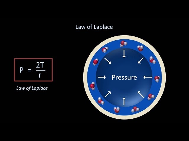 Surface Tension and Surfactant (Fluid Mechanics - Lesson 12)