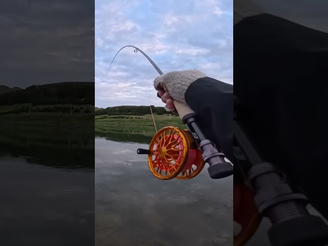 This makes me want to fish every time I watch it