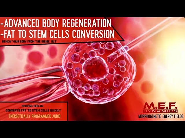 Fat to Stem Cells Conversion