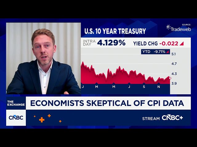 CPI data provided 'downwardly biased view of inflation,' says EY-Parthenon's Daco