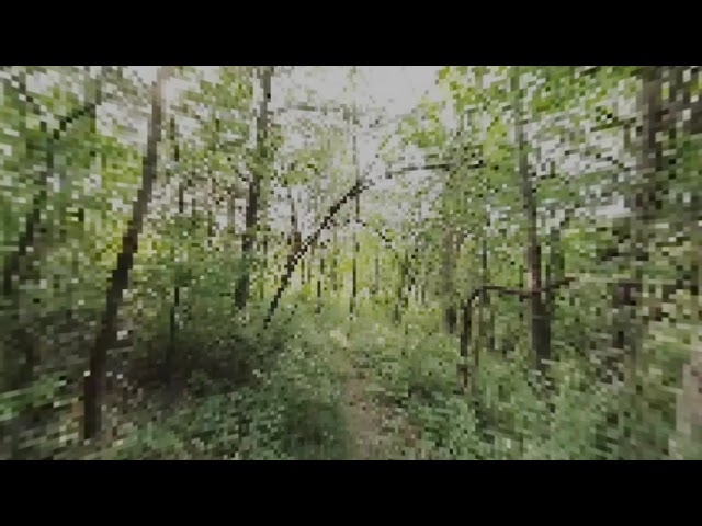trail glitch e