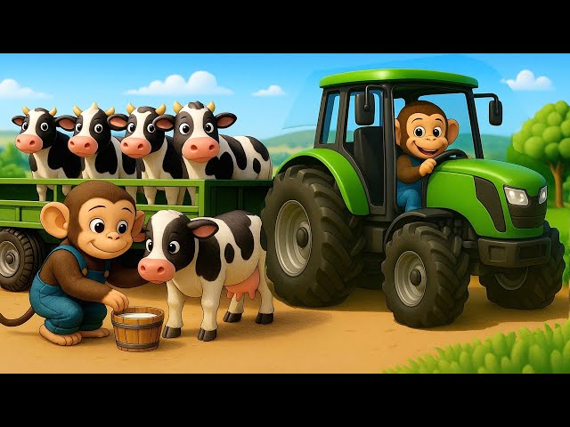Monkey Farmer Transports Cows and Milking Process - Farm Work | Cobby Farm