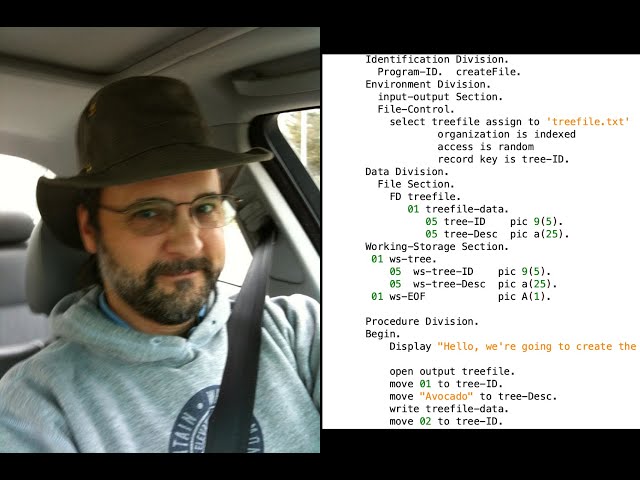 COBOL 05: Single Dimensional Arrays