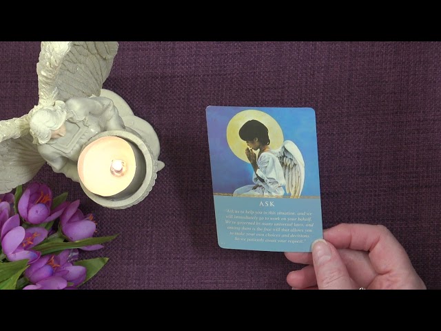 Your Daily Angel Message - A Little Angel Message — What the Angels Want You to Know Today ✨