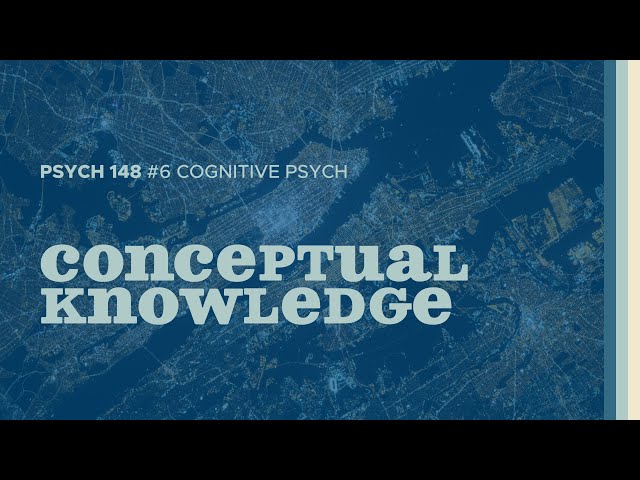 All The Things | Conceptual Knowledge (Cognitive Psych #6)