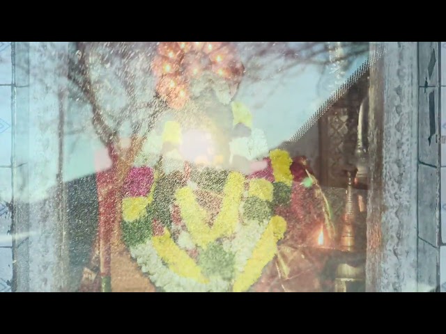 The Thai-Amavasai prayer Day 🌹🌱