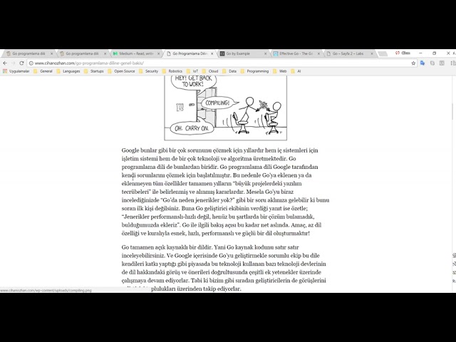 Go Programlama Diline Nasıl Başlarım?