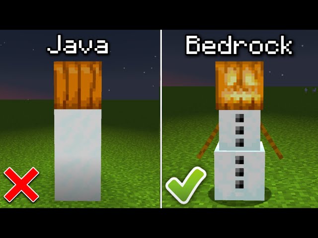 100 Differences Between Java and Bedrock!