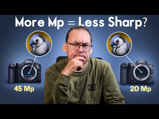 Do HIGH MEGAPIXEL CAMERAS make it harder to take sharp images?